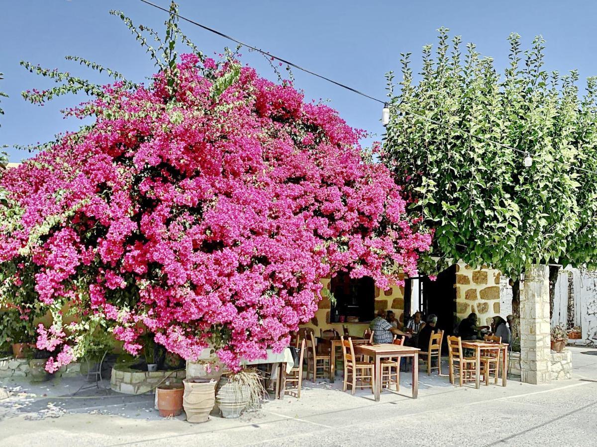 Villa Artemis Vryses Crete Alikampos Exterior foto